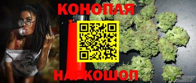 дмт Кунгур