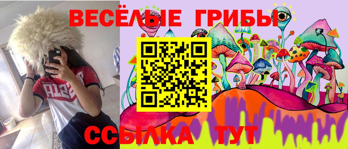 Урус-Мартан  Псилоцибиновые грибы Cubensis  Вход с VPN 
