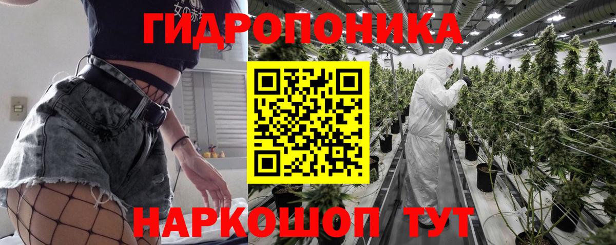 Бошки Шишки VHQ Урус-Мартан